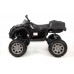 Детский квадроцикл Grizzly Next 4WD с пультом управления 2.4G - BDM0909