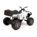 Детский квадроцикл Grizzly Next 4WD с пультом управления 2.4G - BDM0909