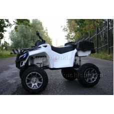 Детский электроквадроцикл Grizzly Next Т009МР 4WD  
