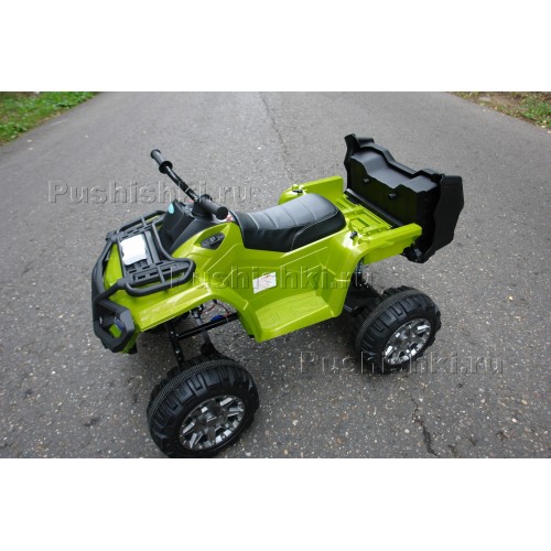 Квадроцикл детский Grizzly Next Т009МР 4WD   